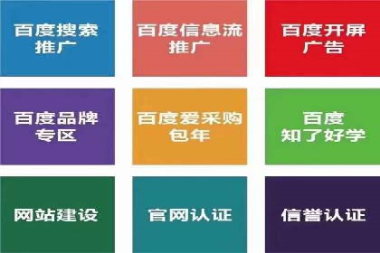 某某SEM公司助力企业快速发展的成功故事